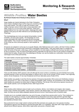 Water Beetles by Richard Chadd, Kevin Rowley & Henry Stanier What? Water Beetles Are Insects Belonging to the Order Coleoptera Great Diving Beetle Dytiscus Marginalis