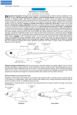 Atherinidae 2113