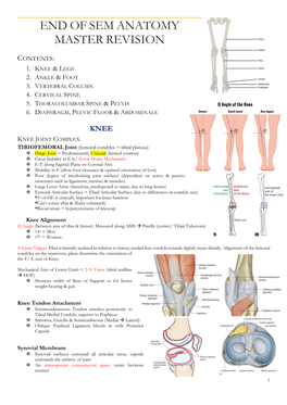 End of Sem Anatomy Master Revision