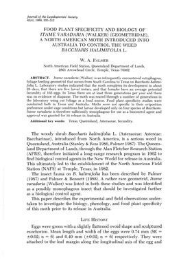 Food Plant Specificity and Biology of Itame Varadaria