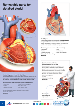 Removable Parts for Detailed Study!