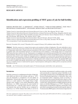 Identification and Expression Profiling of MSY Genes of Yak for Bull Fertility