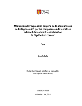 Modulation De L'expression Du Gène De La Sous-Unité Α5 De L'intégrine Α5β1 Par Les Composantes De La Matrice Extracell