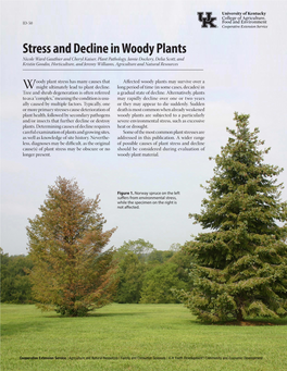 ID-50: Stress and Decline in Woody Plants