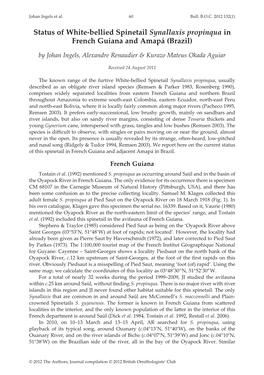 Status of White-Bellied Spinetail Synallaxis Propinqua in French Guiana and Amapá (Brazil)