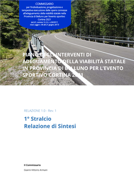 1° Stralcio Relazione Di Sintesi