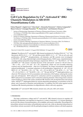 Cell Cycle Regulation by Ca2+-Activated K+ (BK) Channels Modulators in SH-SY5Y Neuroblastoma Cells