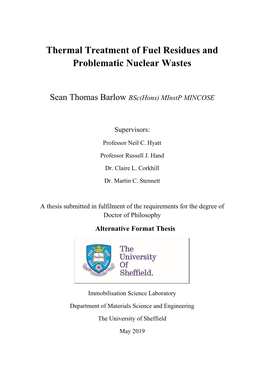 Thermal Treatment of Fuel Residues and Problematic Nuclear Wastes