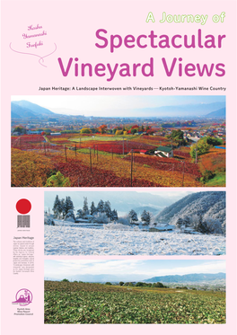 Spectacular Vineyard Views