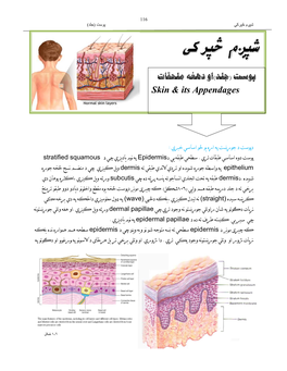 Human General Histology