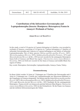 Contributions of the Infraorders Gerromorpha and Leptopodomorpha 02.Indd 1 16.09.19 15:44 Introduction