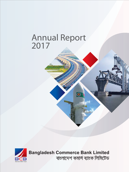 BCBL Annual Report 2017