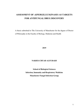 Assessment of Aspergillus Kinases As Targets for Antifungal Drug Discovery