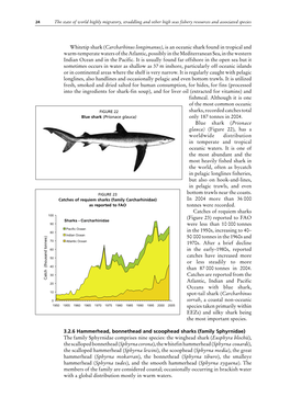 (Carcharhinus Longimanus) , Is an Oceanic Shark Found in Tropical And