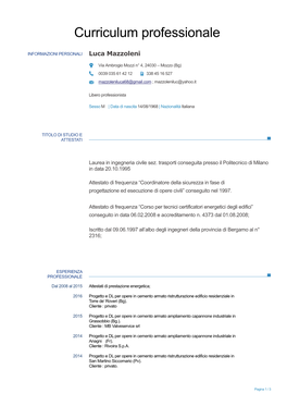 Curriculum Professionale