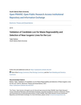 Validation of Candidate Loci for Maize Regrowability and Selection of Near Isogenic Lines for the Loci