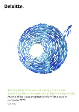 Reducing Plastic Pollution and Creating a True Circular Economy