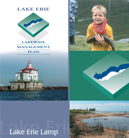 Lake-Erie-Lamp-2008.Pdf