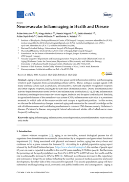 Neurovascular Inflammaging in Health and Disease