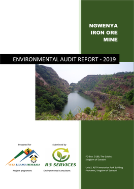 Environmental Audit Report - 2019
