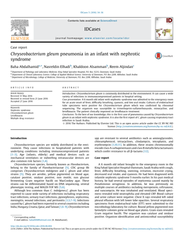 Chryseobacterium Gleum Pneumonia in an Infant with Nephrotic Syndrome