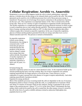 Aerobic Vs. Anaerobic