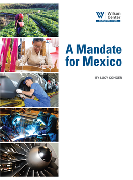 A Mandate for Mexico