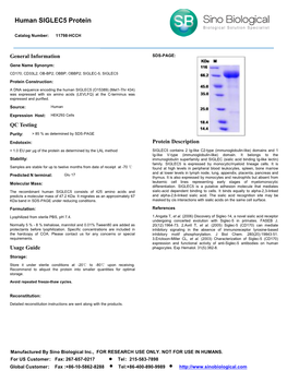 Human SIGLEC5 Protein