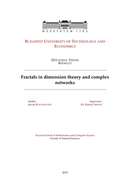 Fractals in Dimension Theory and Complex Networks