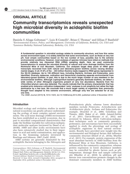 Community Transcriptomics Reveals Unexpected High Microbial Diversity in Acidophilic Biofilm Communities