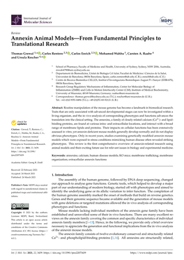 Annexin Animal Models—From Fundamental Principles to Translational Research