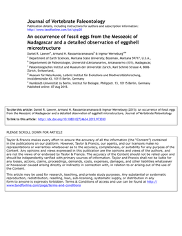 An Occurrence of Fossil Eggs from the Mesozoic of Madagascar and a Detailed Observation of Eggshell Microstructure Daniel R