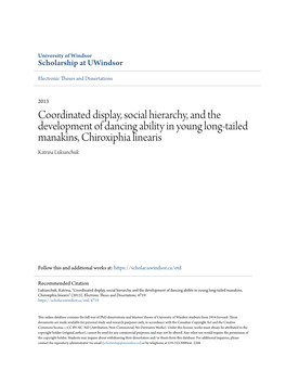 Coordinated Display, Social Hierarchy, and the Development of Dancing Ability in Young Long-Tailed Manakins, Chiroxiphia Linearis Katrina Lukianchuk