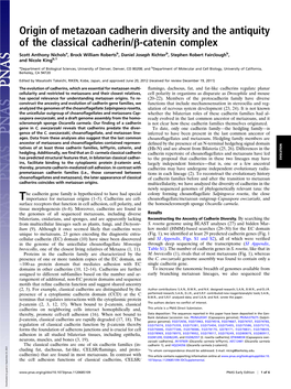 Origin of Metazoan Cadherin Diversity and the Antiquity of the Classical Cadherin/Β-Catenin Complex