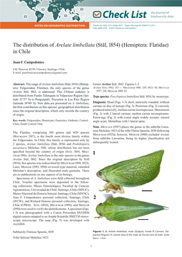 Arelate Limbellata (Stål, 1854) (Hemiptera: Flatidae) in Chile