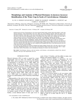 Morphology and Anatomy of Physical Dormancy in Ipomoea Lacunosa: Identiﬁcation of the Water Gap in Seeds of Convolvulaceae (Solanales)