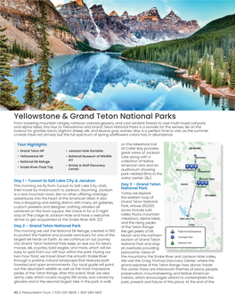 Yellowstone & Grand Teton National Parks