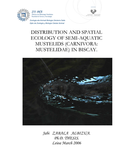 Distribution and Spatial Ecology of Semi-Aquatic Mustelids (Carnivora: Mustelidae) in Biscay