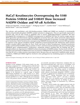 Hacat Keratinocytes Overexpressing the S100 Proteins S100A8