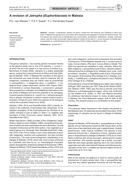 A Revision of Jatropha (Euphorbiaceae) in Malesia