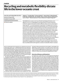 Recycling and Metabolic Flexibility Dictate Life in the Lower Oceanic Crust