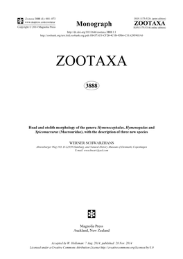 Head and Otolith Morphology of the Genera Hymenocephalus, Hymenogadus and Spicomacrurus (Macrouridae), with the Description of Three New Species