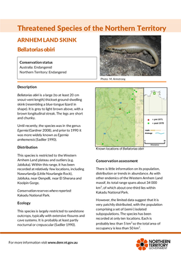 ARNHEM LAND SKINK Bellatorias Obiri