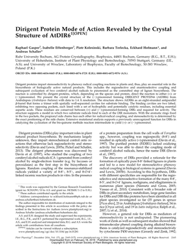 Dirigent Protein Mode of Action Revealed by the Crystal Structure of Atdir61[OPEN]