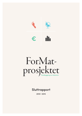 Format-Prosjektets Sluttrapport Om Tiltak