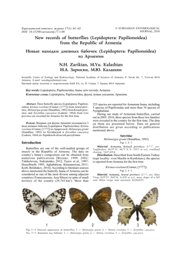 New Records of Butterflies (Lepidoptera: Papilionoidea) from the Republic of Armenia Новые Находки Дневных Б