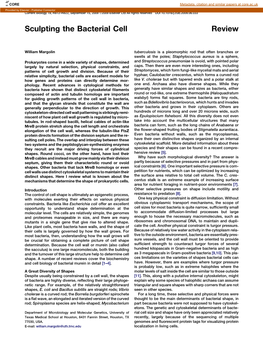 Sculpting the Bacterial Cell Review