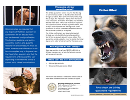 Rabies Bites! the 10-Day Quarantine Period Ensures That the Dog Or Cat Remains Available So That It Can Be Observed for Signs of Rabies
