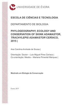 Escola De Ciências E Tecnologia Departamento