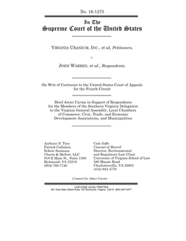 Amicus Briefs